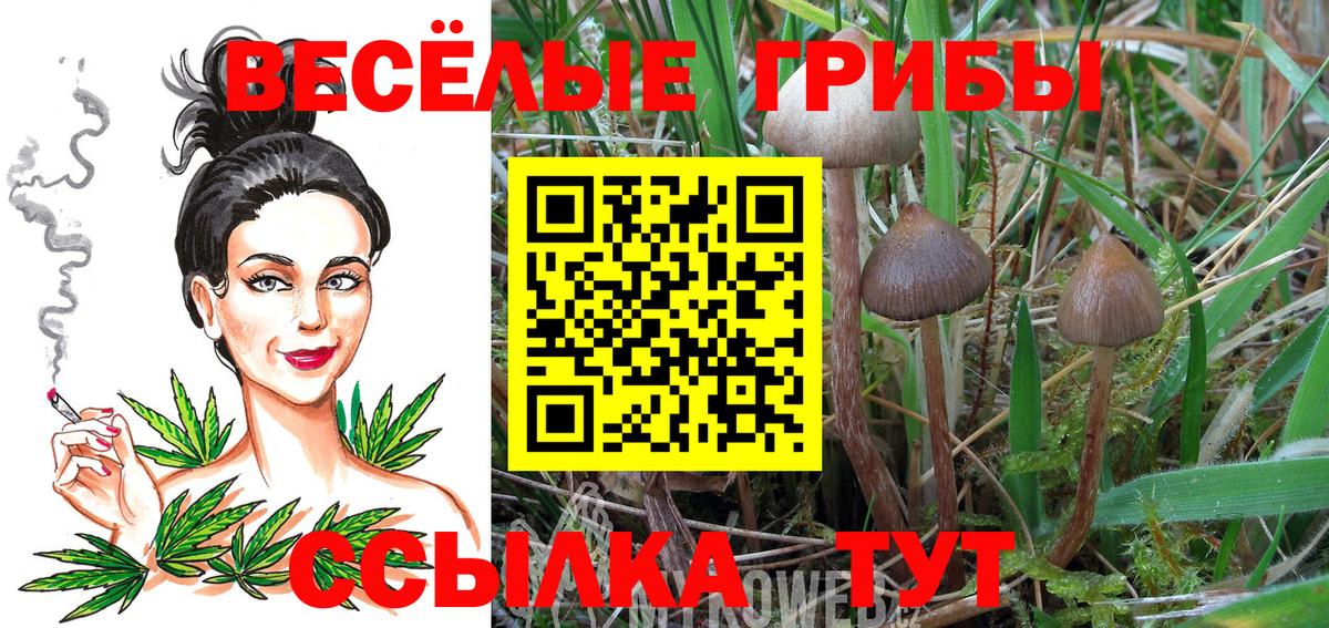 купить наркоту  Галлюциногенные грибы Psilocybine cubensis  Псилоцибиновые грибы GOLDEN TEACHER  Вход с VPN  Нефтекамск 